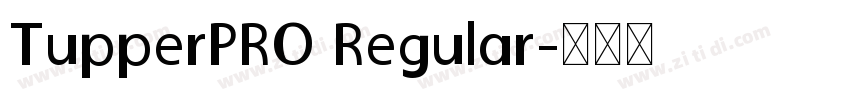 TupperPRO Regular字体转换